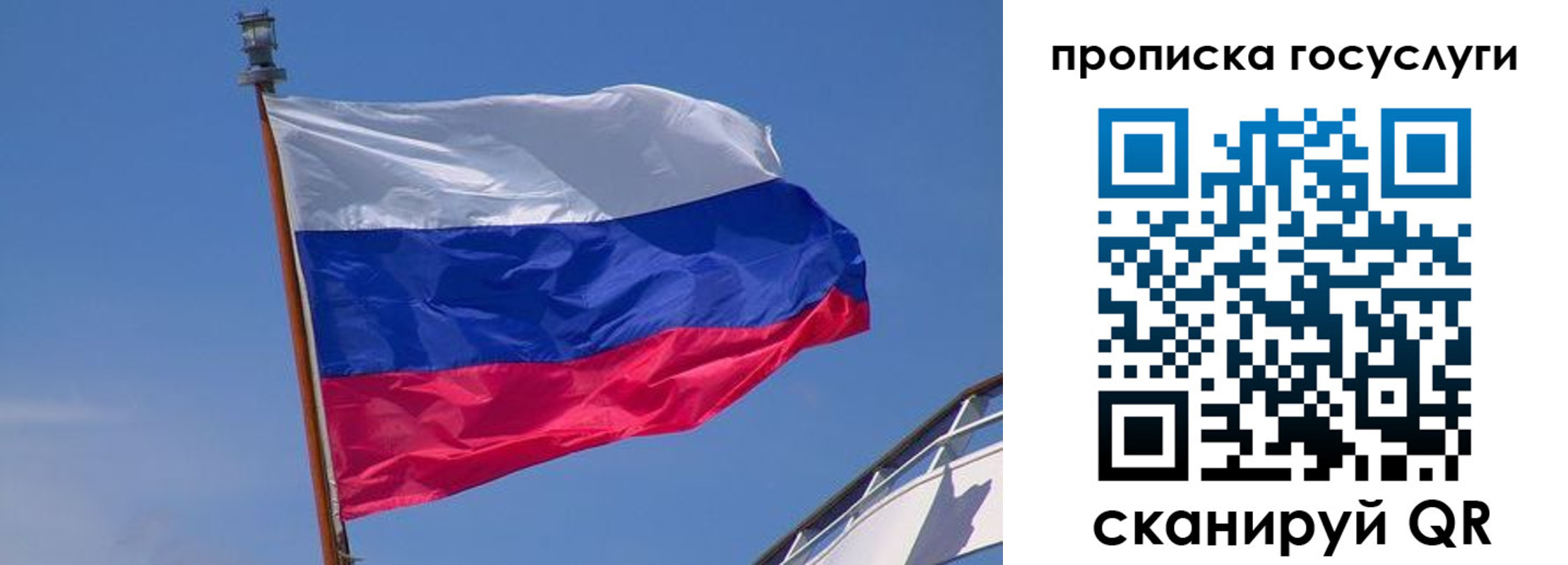 регистрация в Светогорске